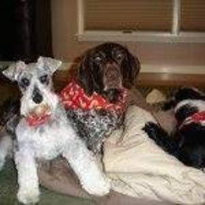 Meet your Posher, Kathy